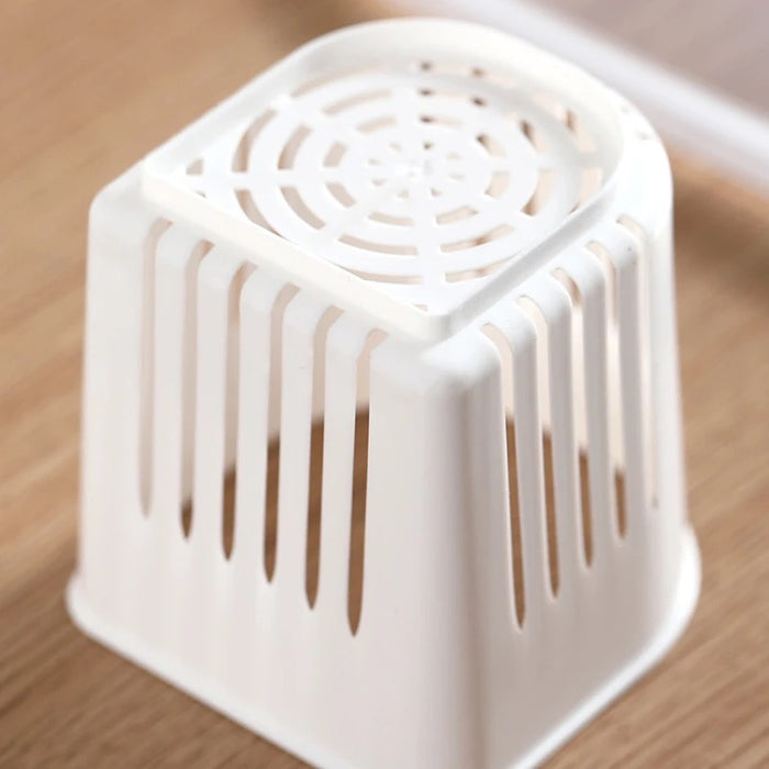 6-Grids Useful Refrigerator Food Fresh-keeping Storage Box
