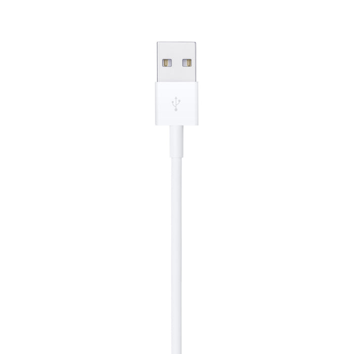 Apple Lightning to USB Cable (1m).