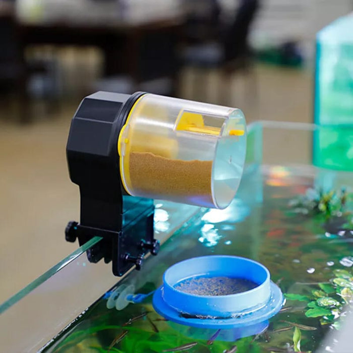 Automatic Fish Feeder Fixed On an Aquarium.