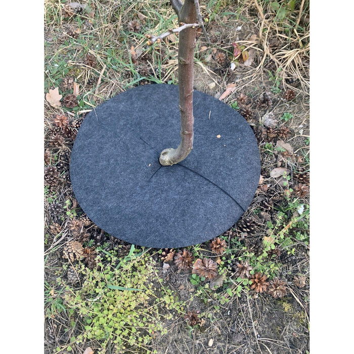 Bertoni anti-weed disc set for garden use, 3 pieces, 60 cm, gray