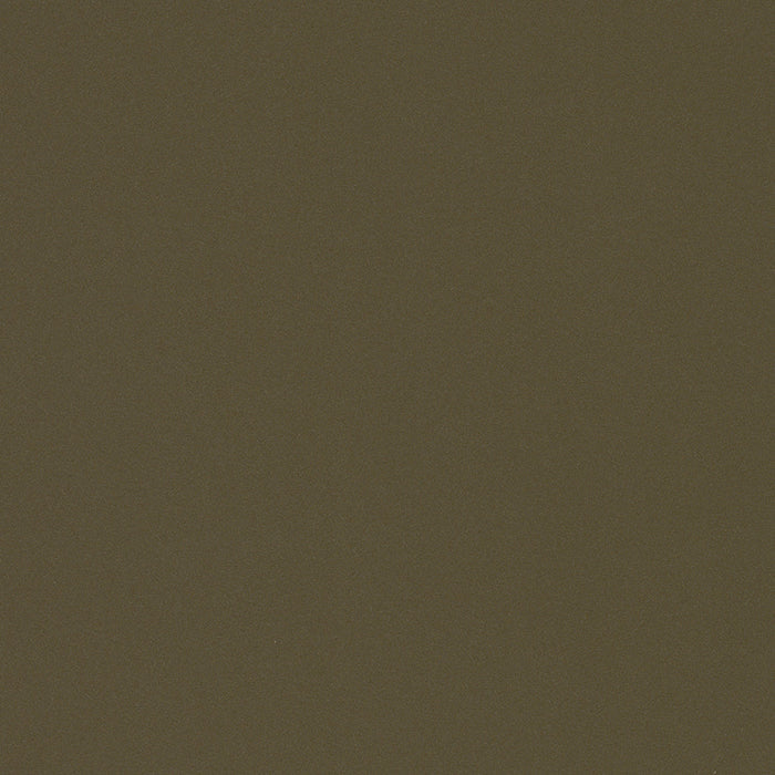 Champagne Nickel Metallic adhesive vinyl swatch
