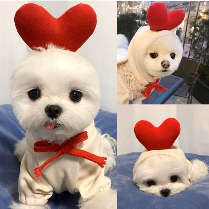 Cute Fruit Dog Hoodie – Warm Fleece Winter Outfit for Small Dogs & Puppies