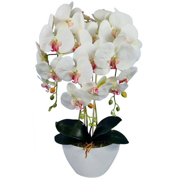 Damich artificial orchid, white, pink heart, made of rubber, 3pgb2
