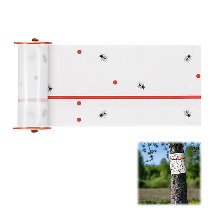 Insects are Sticked on a Flying Insect Glue Sticker.
