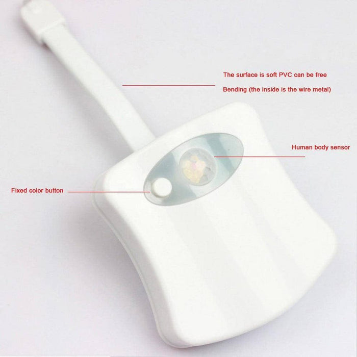 Describing the parts of toilet night lamp.
