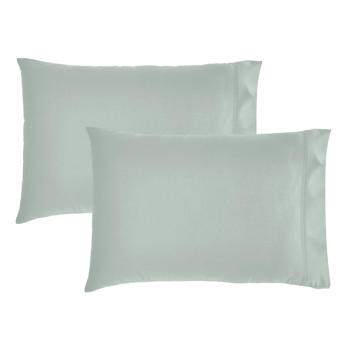 Soft Celadon