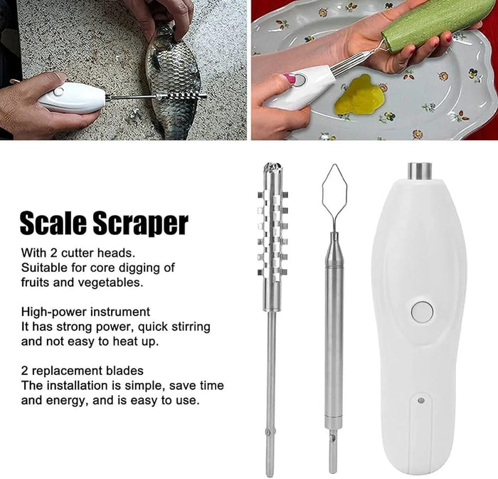 Electric Fish Scale Remover.