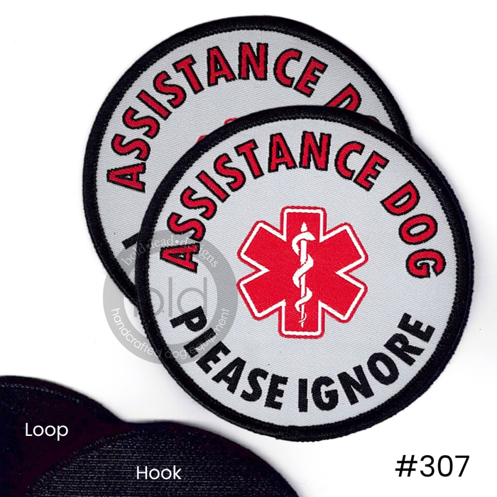 ASSISTANCE DOG - PLEASE IGNORE