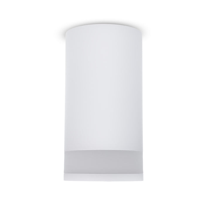 Maclean surface mount / tube luminaire, spot, round, aluminum, GU10, 55x105mm, white, MCE361 W