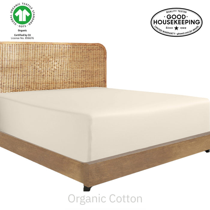 True Ivory