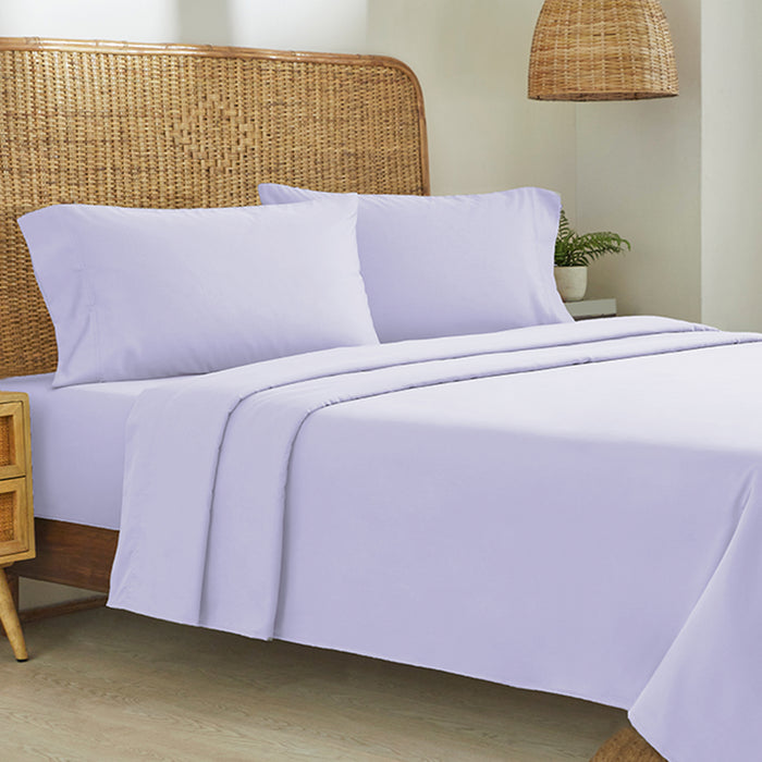 Lavender Mist