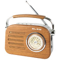 Portable analog AM/FM Bluetooth radio RA3 battery and mains power Blow