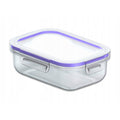 Practic food container, transparent, capacity 1l, 20x14x7 cm, 10084200