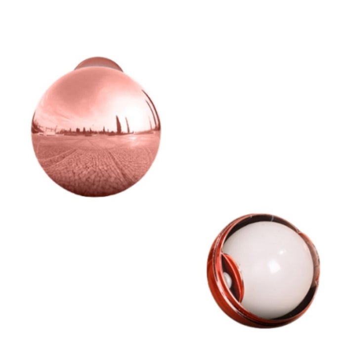 Rose gold Reusable pet  Hair Remover