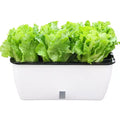 Self Watering Planter Pot, Double Layer Flower Pot with Visible Water Level