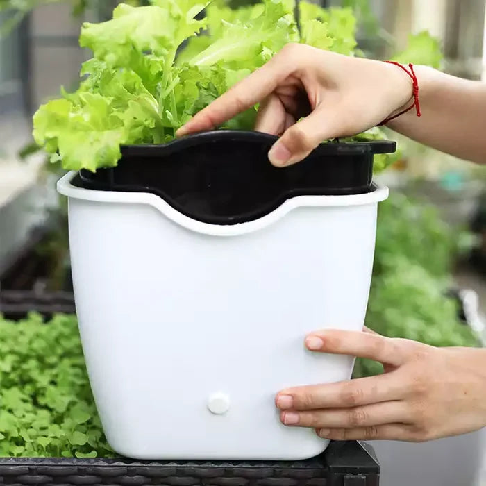 Self Watering Planter Pot, Double Layer Flower Pot with Visible Water Level