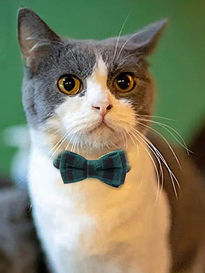 ShedShift™ Plaid Bow Tie Collar