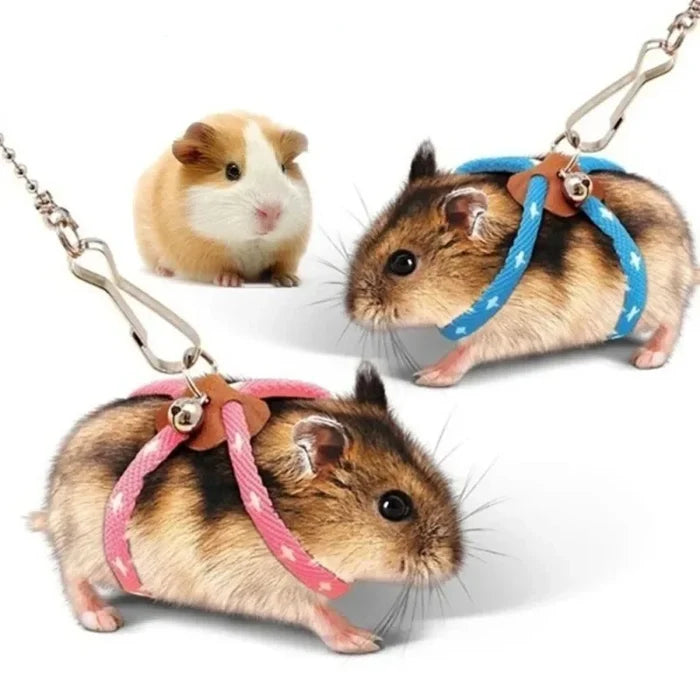 Small pet harness and lead set