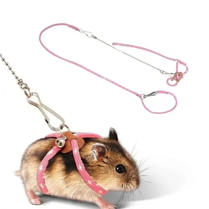 Small Pet Harness & Lead Set – gallery image 3