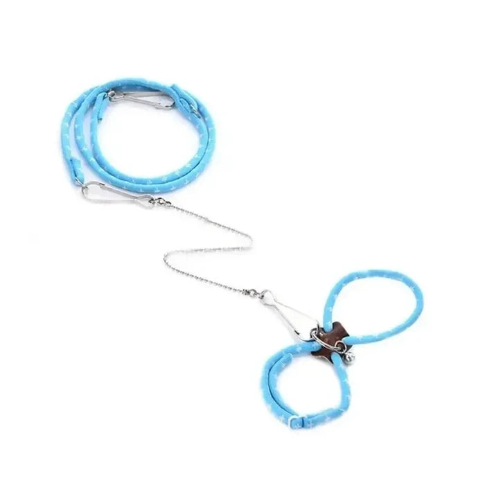 Small Pet Harness & Lead Set – gallery image 4