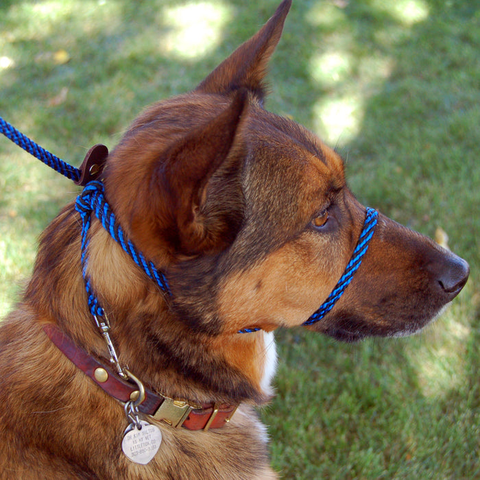 The Original Woven Perfect Pace™ NO-PULL Halter/Leash
