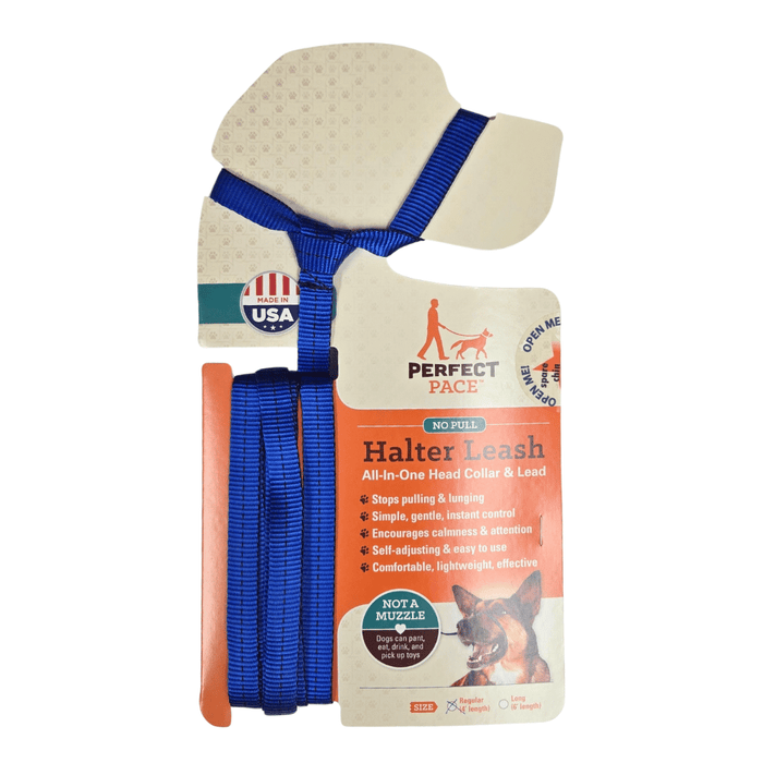 Halter Leash- all-in-one combo / Regular leash (4 ft) / Blue