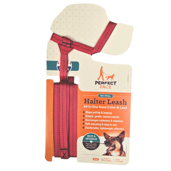 Halter Leash- all-in-one combo / Regular leash (4 ft) / Red