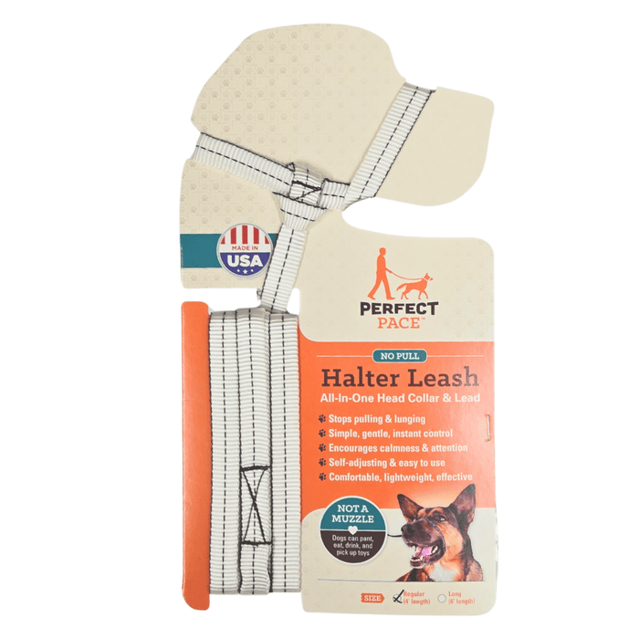 Halter Leash- all-in-one combo / Regular leash (4 ft) / White
