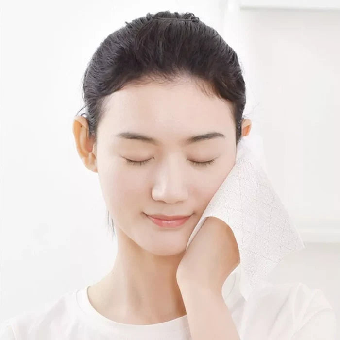 A Woman is Wiping Wall Hanging Air Cushion Tissue.